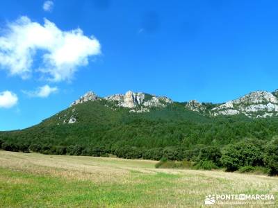 Hayedos Rioja Alavesa- Sierra Cantabria- Toloño;viajes enero viajes en febrero marcas de montaña